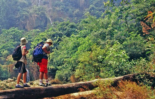 Kinh nghiệm đi rừng